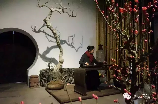 习琴之路(一) 习琴之路(一)