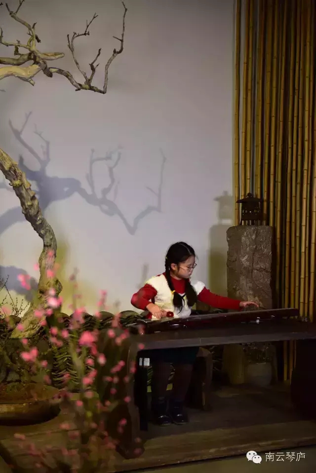习琴之路(一) 习琴之路(一)
