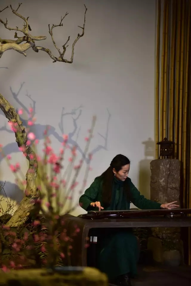 习琴之路(二) 习琴之路(二)