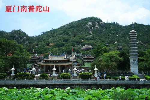 道和远大集团厦门分公司成立 道和远大集团厦门分公司成立