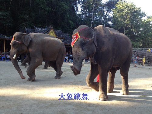 勐巴拉——神奇而理想的乐园 勐巴拉——神奇而理想的乐园
