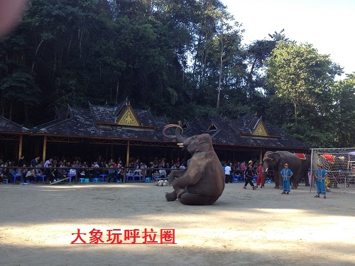 勐巴拉——神奇而理想的乐园 勐巴拉——神奇而理想的乐园