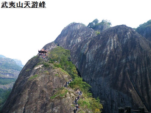 彭祖 · 武夷山 彭祖 · 武夷山