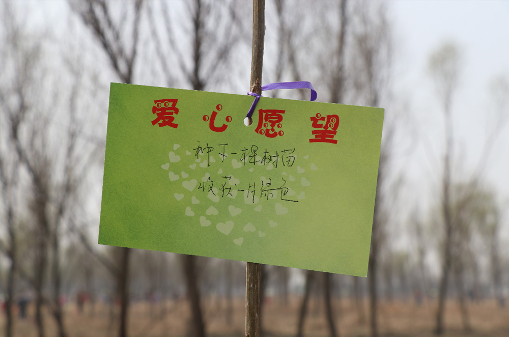 植樹行:兄弟公司共攜手 爭為中原添新綠