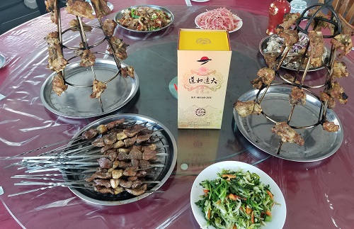 新疆是個好地方 新疆是個好地方