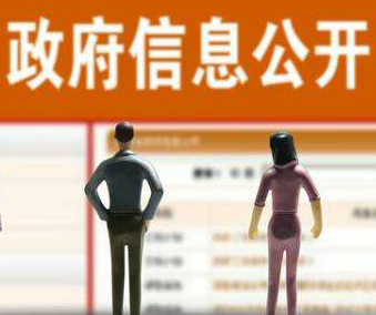 申请政府信息公开中有哪些法定救济途径? 申请政府信息公开中有哪些法定救济途径?
