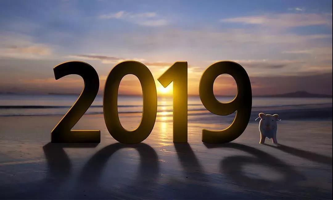 2019 2019