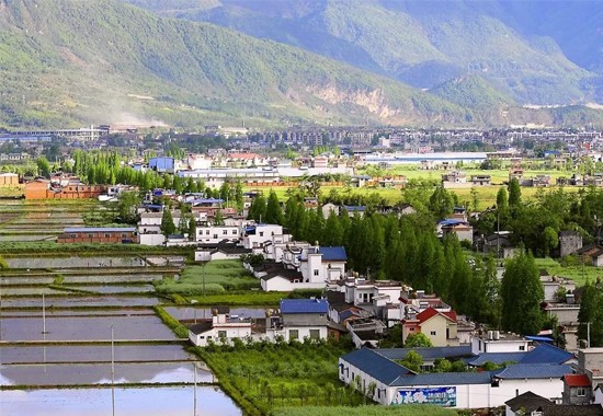 广东省卫民有害生物预防控制中心林业病虫害防治服务资格等级证评审标准和程序（2019年最新版本）