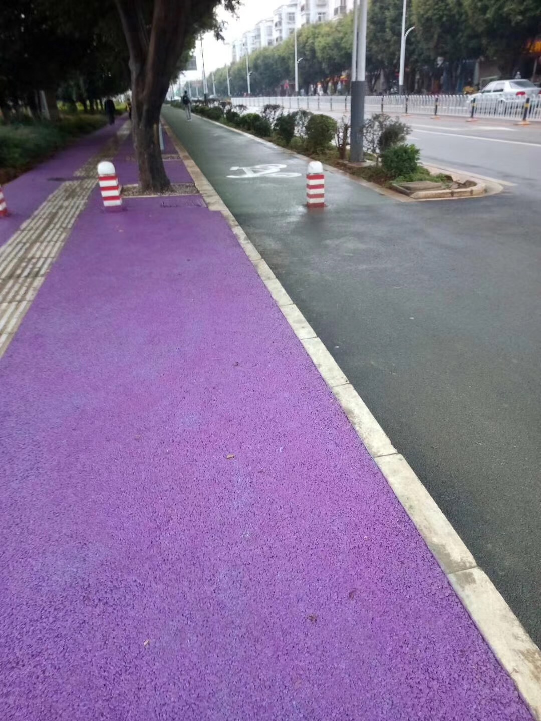 紫色人行道案例
