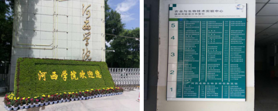 张掖新建金药都,本草快检进西部 张掖新建金药都,本草快检进西部