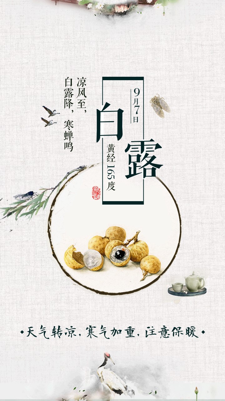 今日白露 今日白露