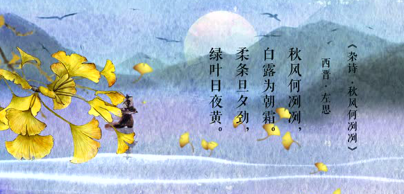 今日白露 今日白露