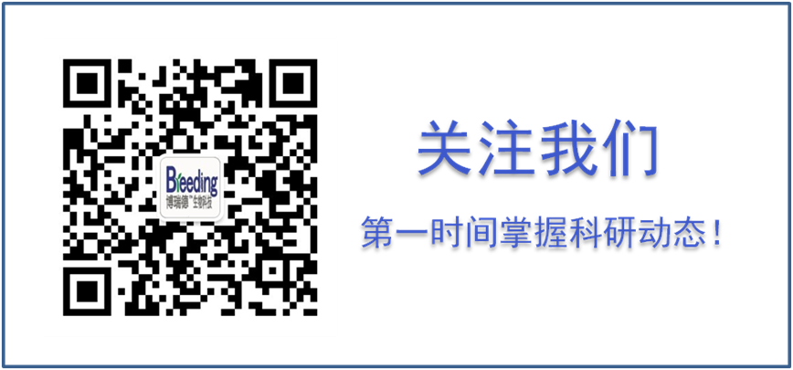高通量测序结果全方位验证策略 高通量测序结果全方位验证策略