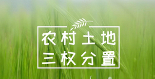 农村土地“三权分置” 农村土地“三权分置”