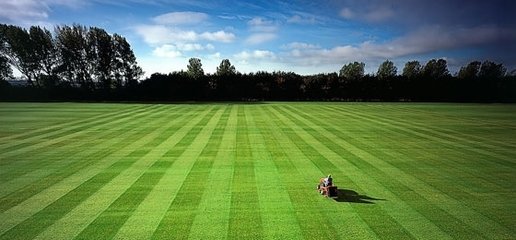 在现行土地法律制度下,存在哪些农用地利用方式? 在现行土地法律制度下,存在哪些农用地利用方式?