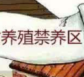 何是禁养区?养殖户需注意什么? 何是禁养区?养殖户需注意什么?