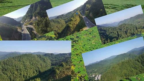 重慶市民的康養(yǎng)勝地——黃水 重慶市民的康養(yǎng)勝地——黃水