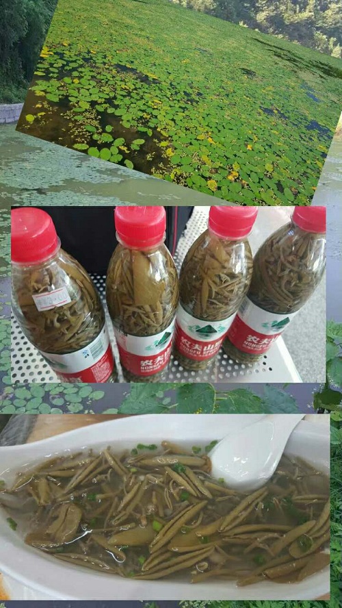 重慶市民的康養(yǎng)勝地——黃水 重慶市民的康養(yǎng)勝地——黃水