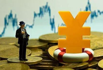 保险基金 保险基金