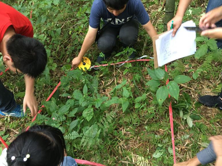 S232蓝山县火市至县城公路工程水土保持方案 S232蓝山县火市至县城公路工程水土保持方案