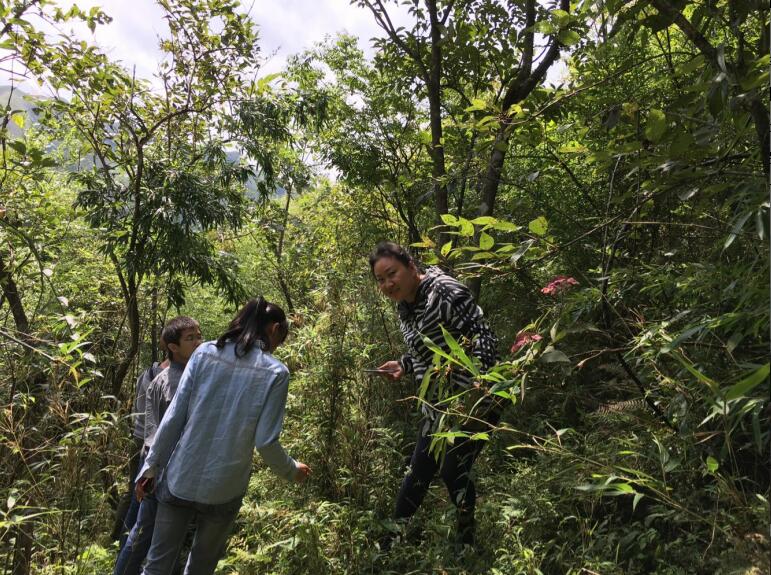 S232蓝山县火市至县城公路工程水土保持方案 S232蓝山县火市至县城公路工程水土保持方案