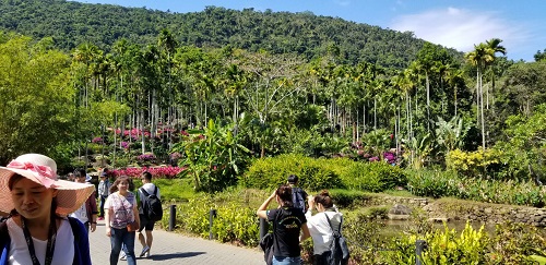 “呀诺达”雨林文化旅游区 “呀诺达”雨林文化旅游区