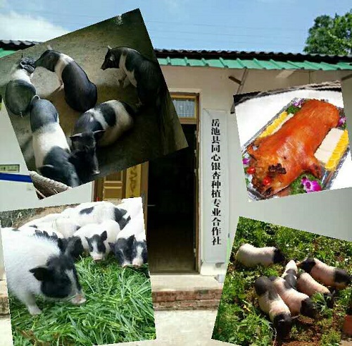 從閱兵方隊走出來的村支書