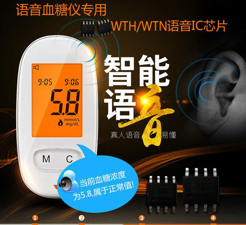 血糖仪语音ic芯片推荐