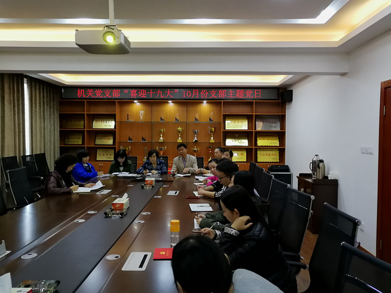 公司各黨支部召開(kāi)“喜迎十九大”主題黨日活動(dòng)