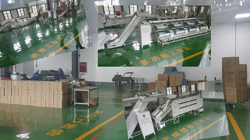 执行总裁张琰一行赴雅安名山跃华茶业集团考察 执行总裁张琰一行赴雅安名山跃华茶业集团考察