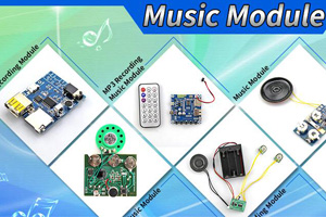 简述语音模块具有的特点 简述语音模块具有的特点