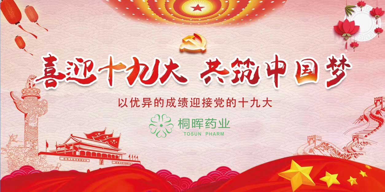 桐晖集团全体员工恭祝十九大顺利召开