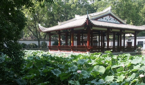 西湖·左?！覀児餐募覉@