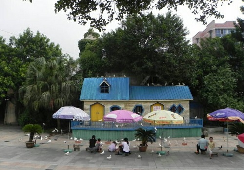 西湖·左海——我們共同的家園