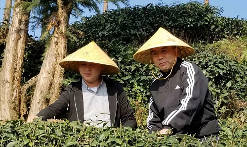 扬子江中水 蒙山顶上茶 扬子江中水 蒙山顶上茶