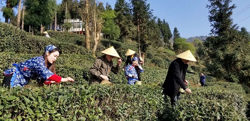 扬子江中水 蒙山顶上茶 扬子江中水 蒙山顶上茶