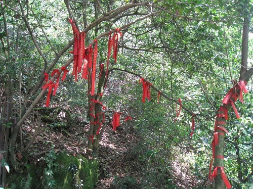 扬子江中水 蒙山顶上茶 扬子江中水 蒙山顶上茶