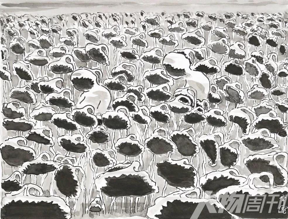 金宇澄 每隔一段时间就会重读《金瓶梅》和《史记》 金宇澄 每隔一段时间就会重读《金瓶梅》和《史记》