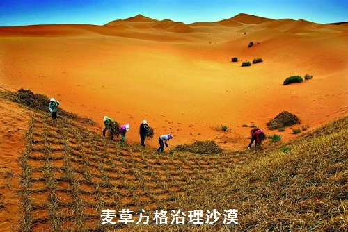 寧夏印象(上) 寧夏印象(上)