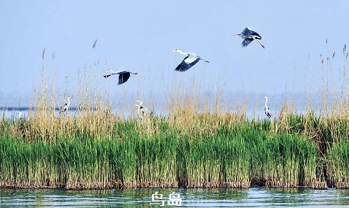 寧夏印象(上) 寧夏印象(上)