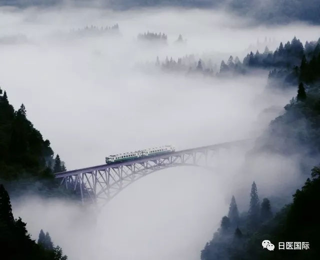 访日旅游人气增长率排行榜揭晓 福岛借台湾游客之力名列前茅 访日旅游人气增长率排行榜揭晓 福岛借台湾游客之力名列前茅
