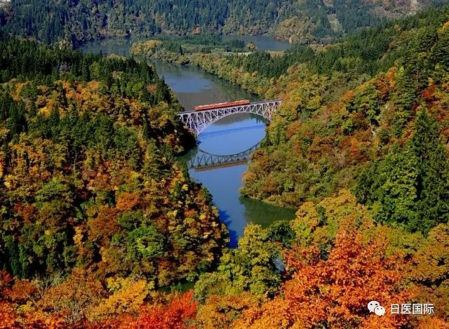 访日旅游人气增长率排行榜揭晓 福岛借台湾游客之力名列前茅 访日旅游人气增长率排行榜揭晓 福岛借台湾游客之力名列前茅