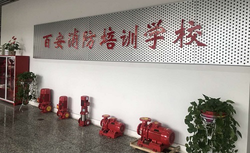 金府路上的“大掌柜” 金府路上的“大掌柜”