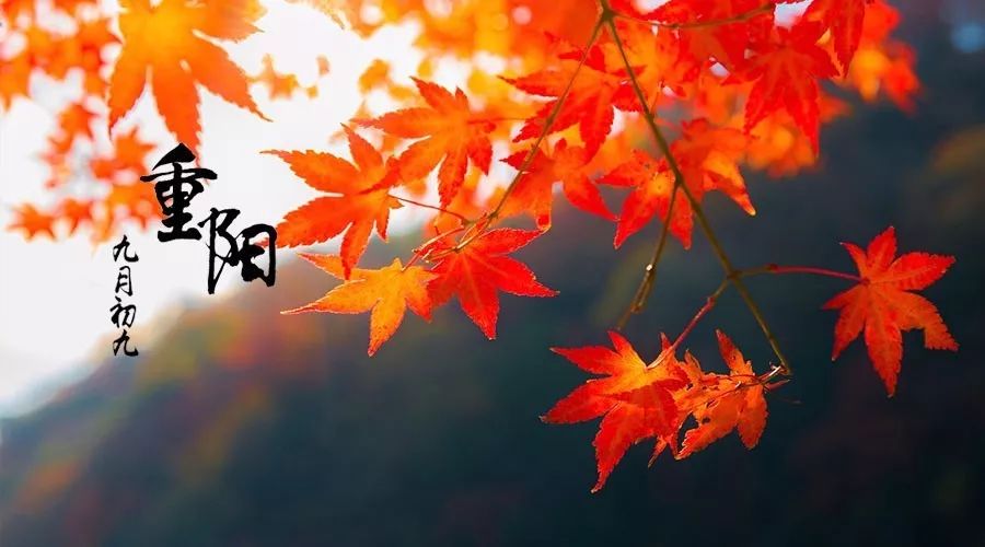 今日重陽(yáng) 今日重陽(yáng)
