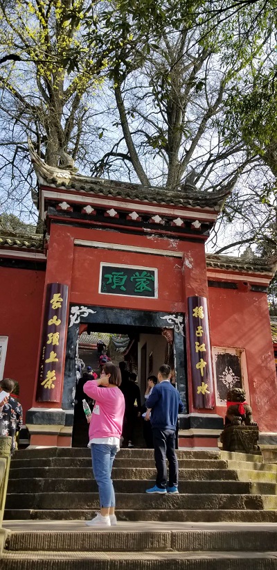 道和远大集团开展“茶文化”旅游实践活动 道和远大集团开展“茶文化”旅游实践活动