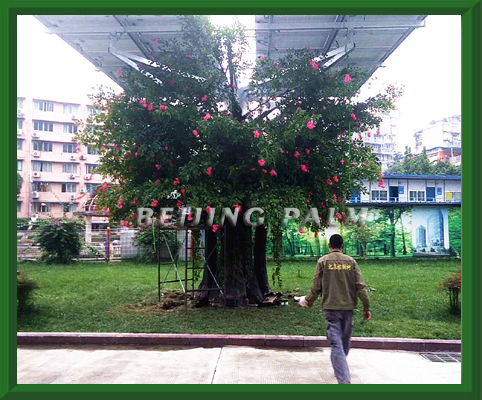 Our company successfully finished the project about decorating the photovoltaic machine in 