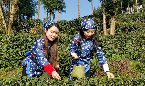 扬子江中水 蒙山顶上茶 扬子江中水 蒙山顶上茶