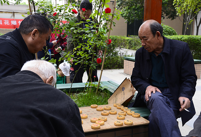 为业主服务,我们是认真哒~——聆水居小区为业主举办象棋比赛&义诊活动 为业主服务,我们是认真哒~——聆水居小区为业主举办象棋比赛&义诊活动