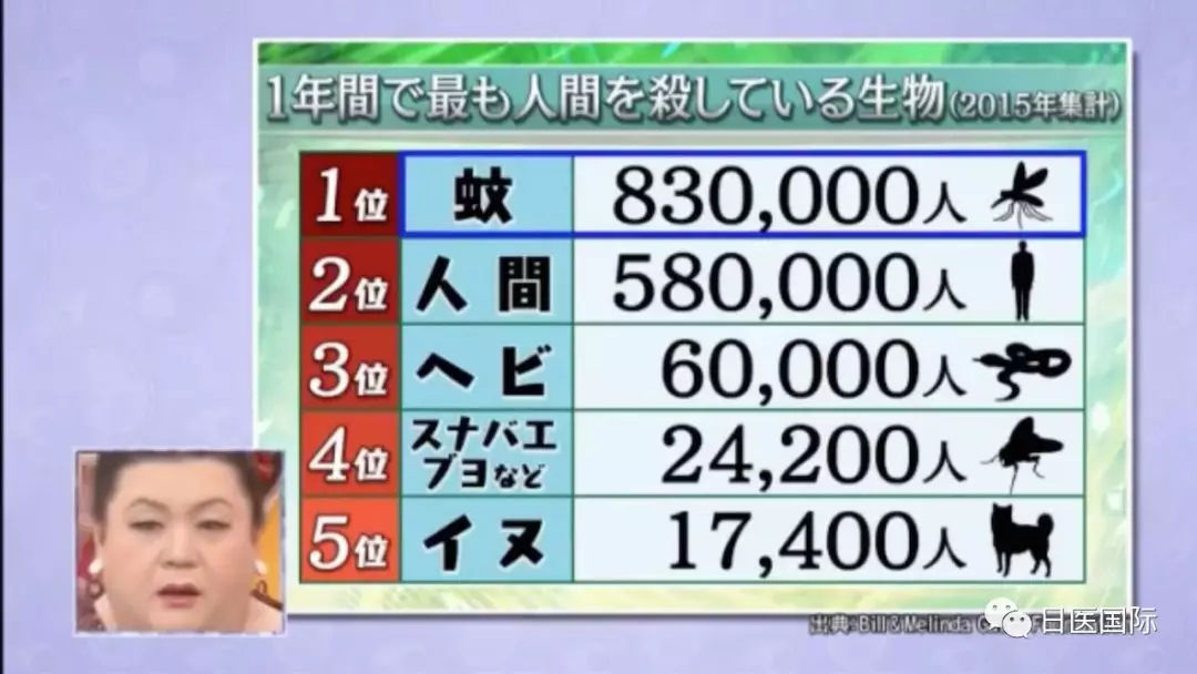 日本天才少年发现防蚊咬秘技 一招击退蚊患! 日本天才少年发现防蚊咬秘技 一招击退蚊患!