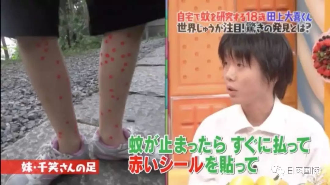 日本天才少年发现防蚊咬秘技 一招击退蚊患! 日本天才少年发现防蚊咬秘技 一招击退蚊患!